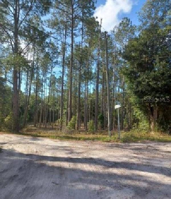 Property photo for TBD SW CORNER SW95 AVE\SW 158 LN, Dunnellon, FL