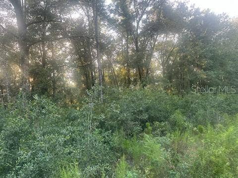Property photo for Lots 2 & 3 SW 156 AVENUE, Ocala, FL