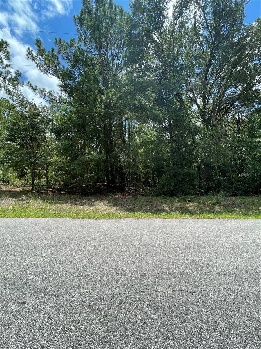 Property photo for TBD SW 59TH LANE, Dunnellon, FL