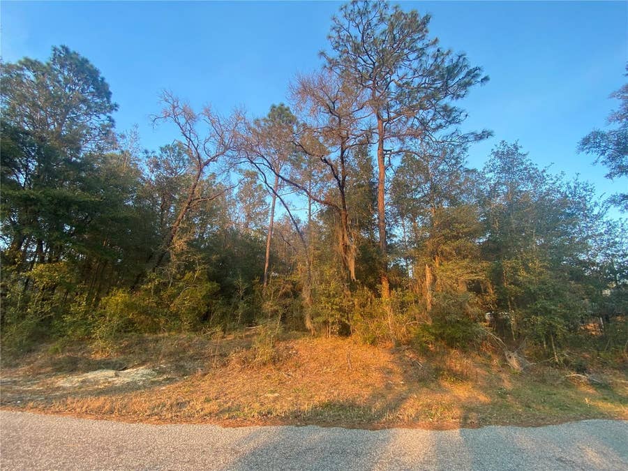 Property photo for Lot 28 SW 206 CIRCLE, Dunnellon, FL
