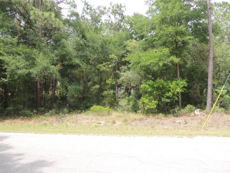 Property photo for 15955 NE 13TH STREET, Williston, FL