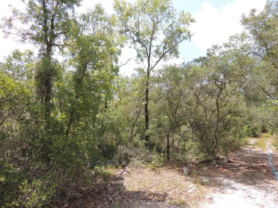 Property photo for 5551 SW 103RD COURT, Cedar Key, FL