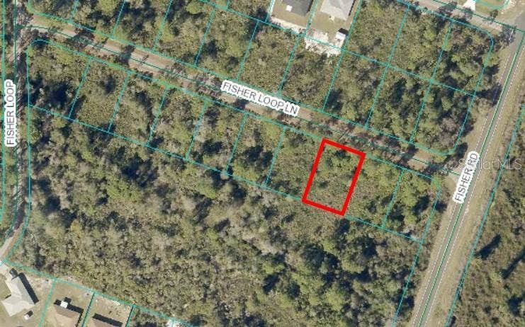 Property photo for 0 FISHER LOOP LANE, Ocklawaha, FL