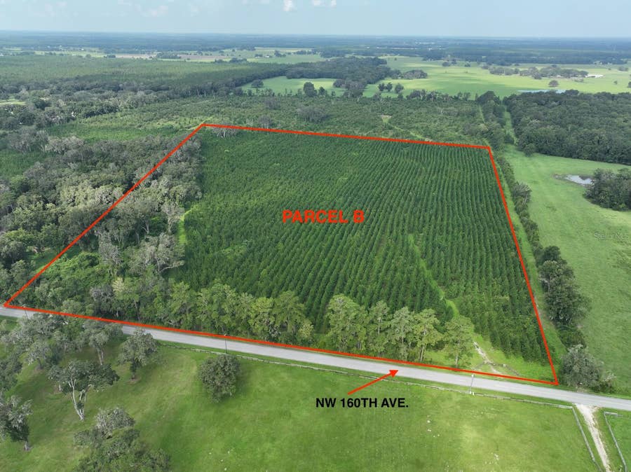 Property photo for Parcel B NW 160TH AVENUE, Morriston, FL