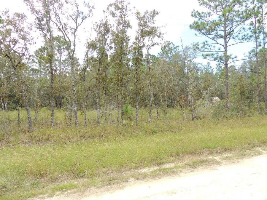 Property photo for 690 NE 135TH COURT, Williston, FL
