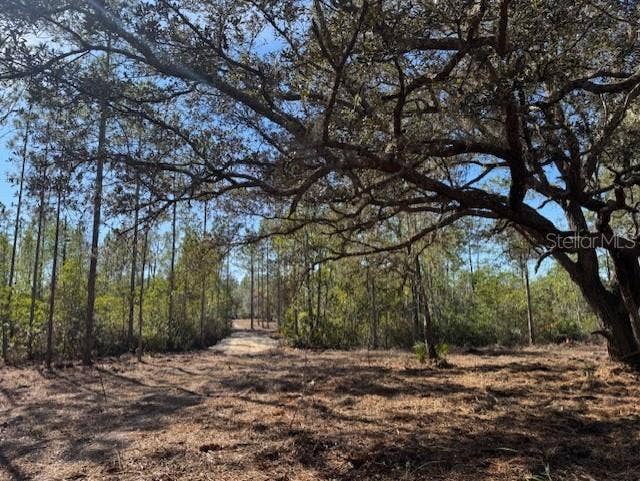 Property photo for 11901 NE 150TH AVE ROAD, Fort Mc Coy, FL