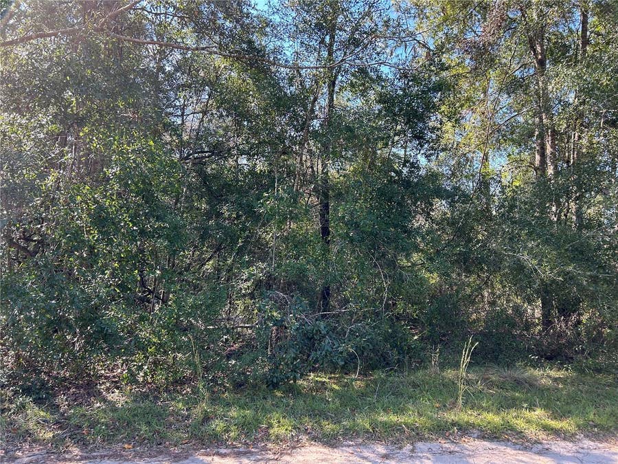 Property photo for TBD NE 138TH TERR, Williston, FL