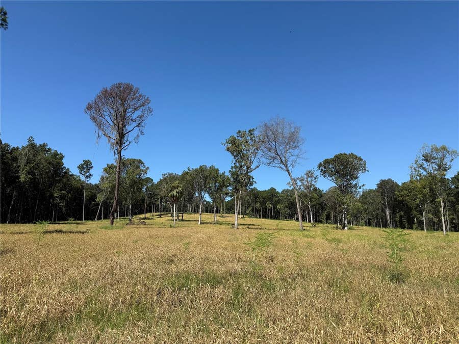 Property photo for 62ac NW 193RD ST, Micanopy, FL