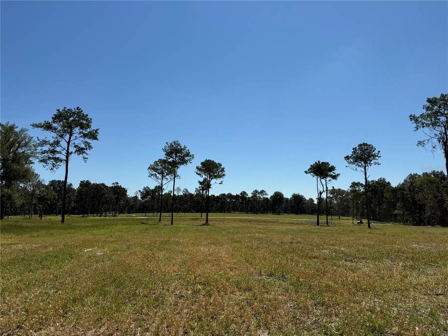 Property photo for 84ac NW 193RD ST, Micanopy, FL