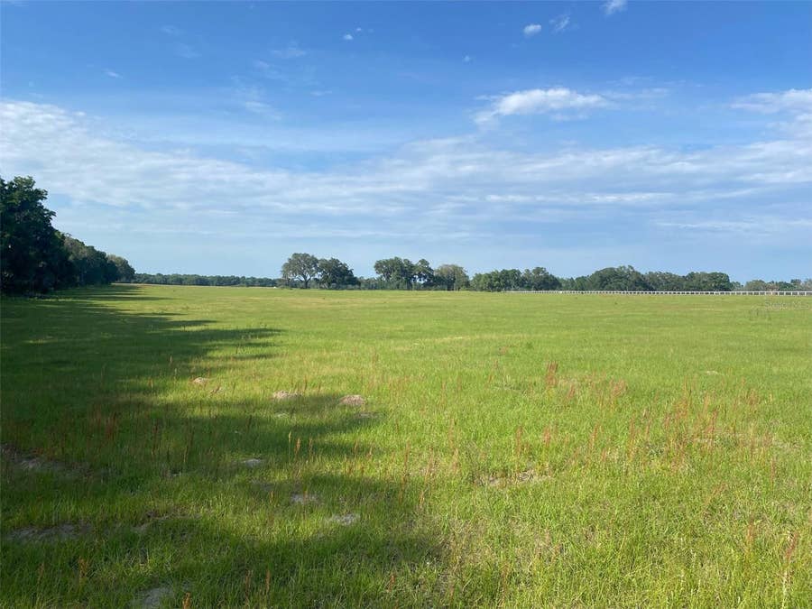 Property photo for 0 NW 163 TERRACE, Morriston, FL
