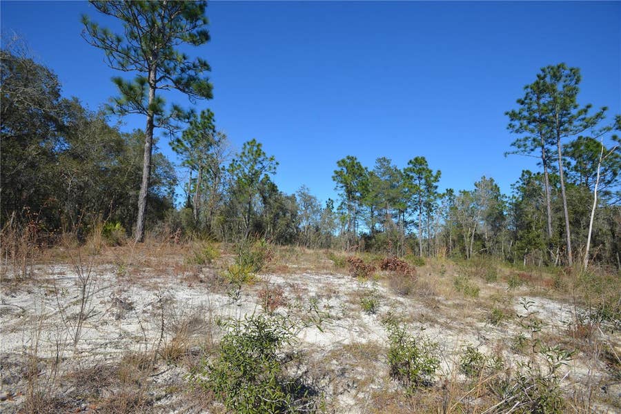 Property photo for SW 144 PLACE, Ocala, FL