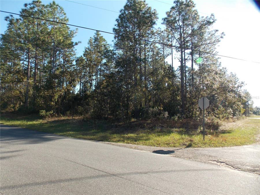 Property photo for 9432 N CHERRY LAKE DRIVE, Citrus Springs, FL