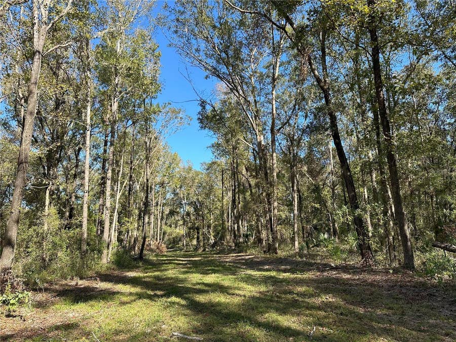 Property photo for 55ac W HWY 318, Reddick, FL