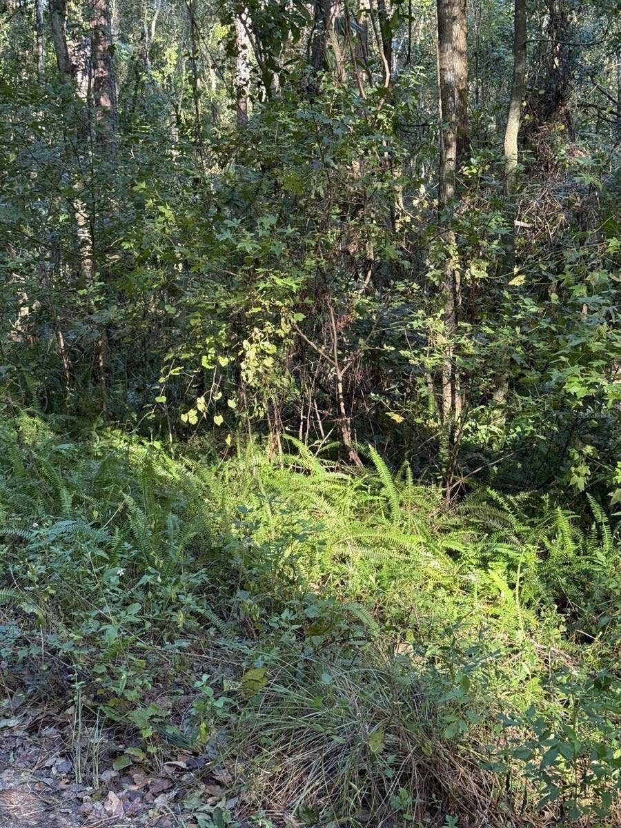 Property photo for TBD SW 18TH PLACE, Ocala, FL