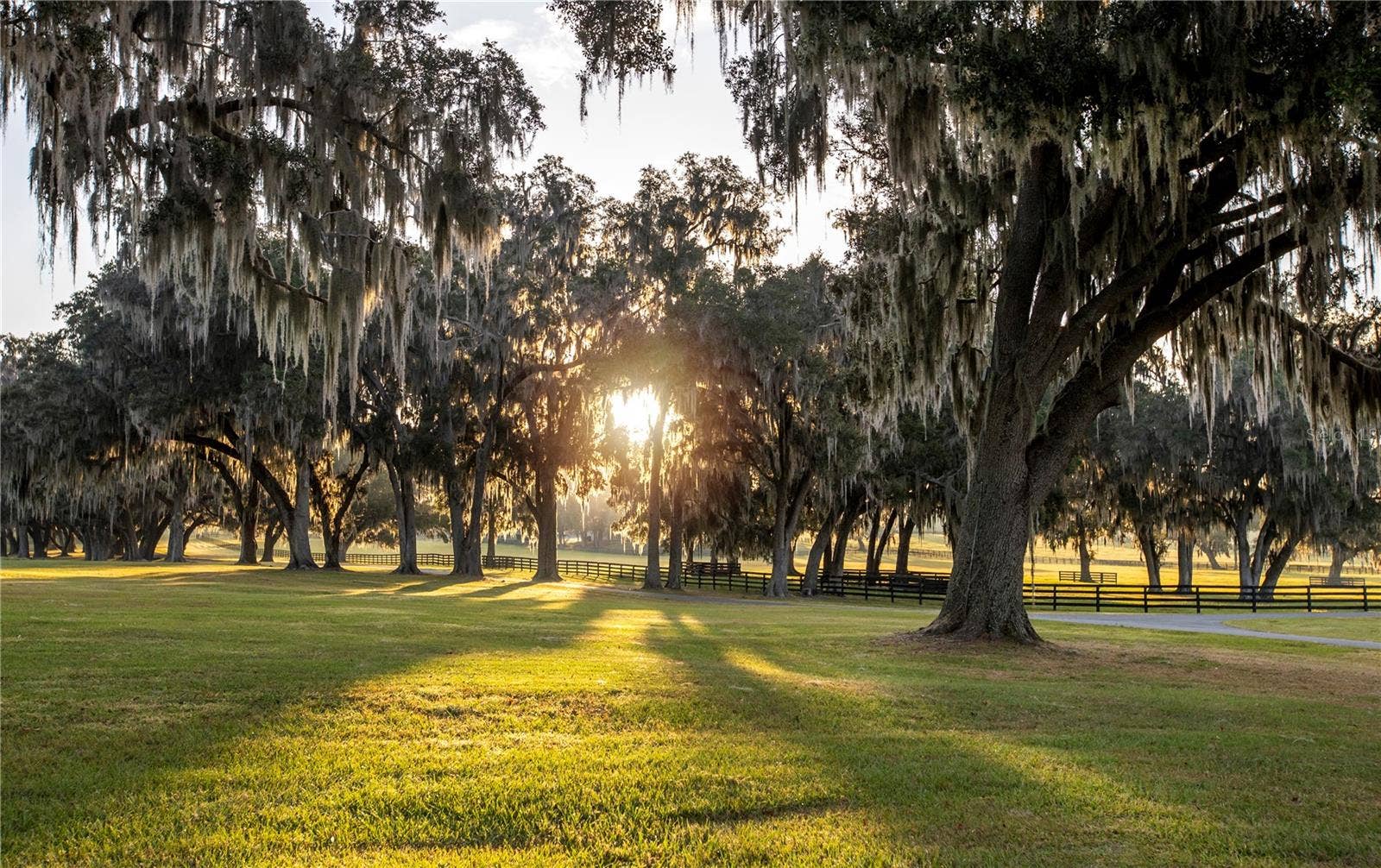 6800 & 6500 NW 193RD STREET, Micanopy, FL 32667 6800 & 6500 NW 193RD STREET, Micanopy, FL 32667