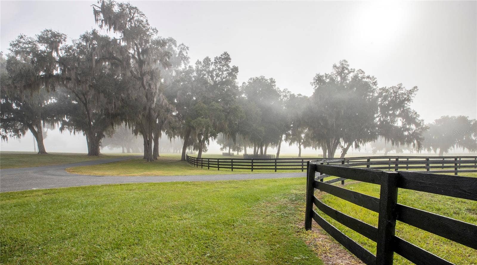 6800 & 6500 NW 193RD STREET, Micanopy, FL 32667 6800 & 6500 NW 193RD STREET, Micanopy, FL 32667
