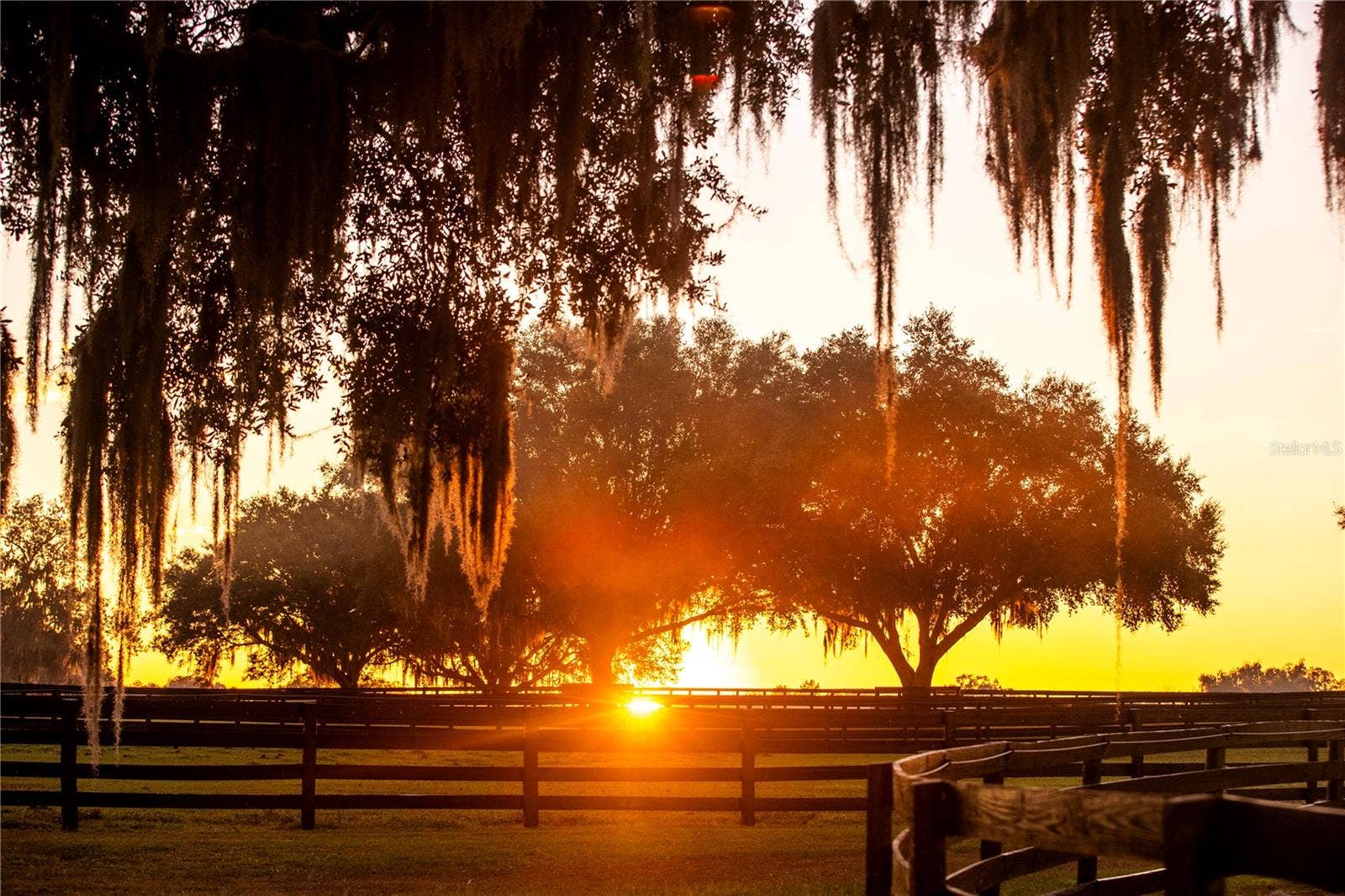 6800 & 6500 NW 193RD STREET, Micanopy, FL 32667 6800 & 6500 NW 193RD STREET, Micanopy, FL 32667