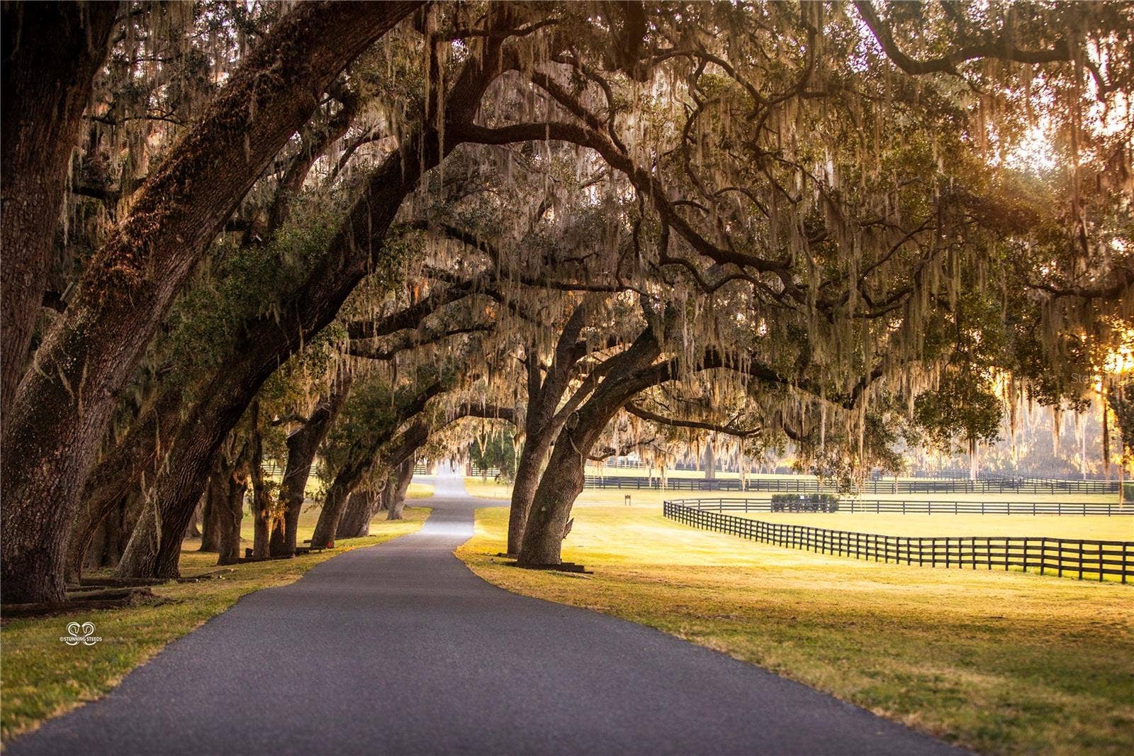 6800 & 6500 NW 193RD STREET, Micanopy, FL 32667 6800 & 6500 NW 193RD STREET, Micanopy, FL 32667