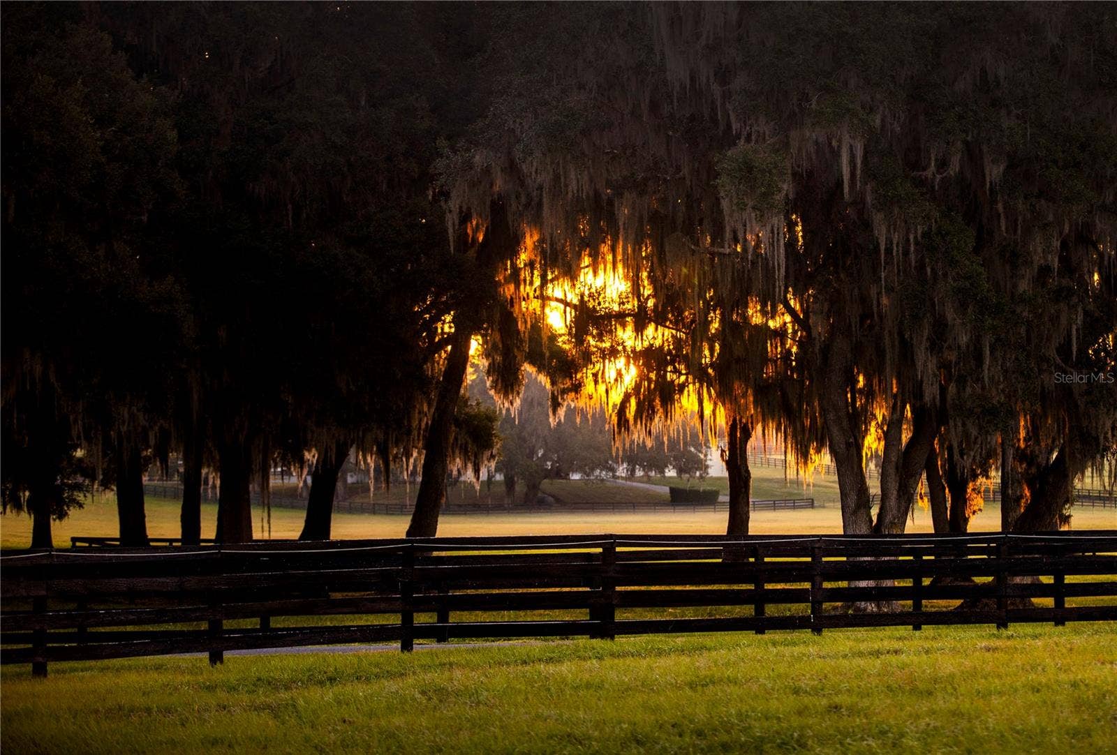 6800 & 6500 NW 193RD STREET, Micanopy, FL 32667 6800 & 6500 NW 193RD STREET, Micanopy, FL 32667