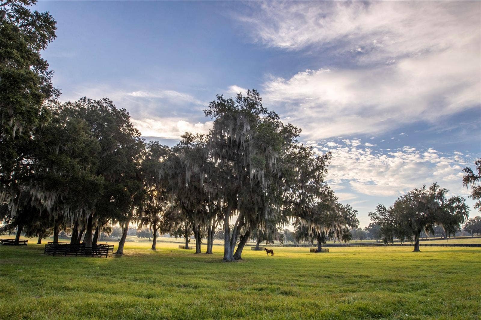 6800 & 6500 NW 193RD STREET, Micanopy, FL 32667 6800 & 6500 NW 193RD STREET, Micanopy, FL 32667