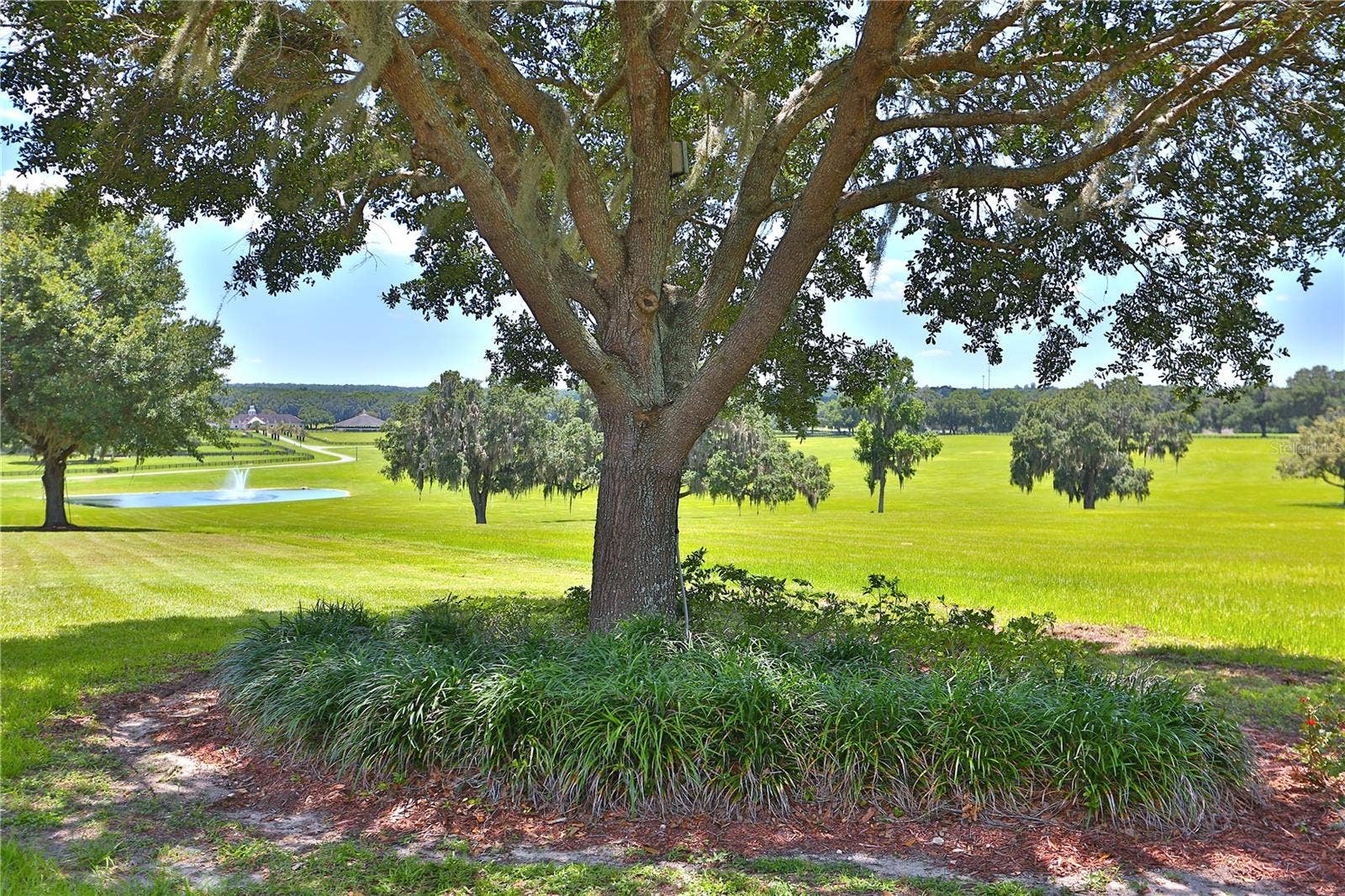 6800 & 6500 NW 193RD STREET, Micanopy, FL 32667 6800 & 6500 NW 193RD STREET, Micanopy, FL 32667