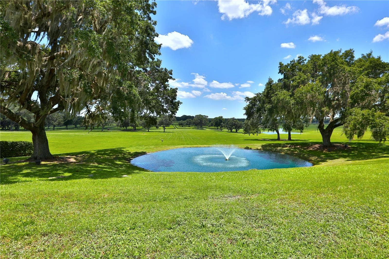 6800 & 6500 NW 193RD STREET, Micanopy, FL 32667 6800 & 6500 NW 193RD STREET, Micanopy, FL 32667