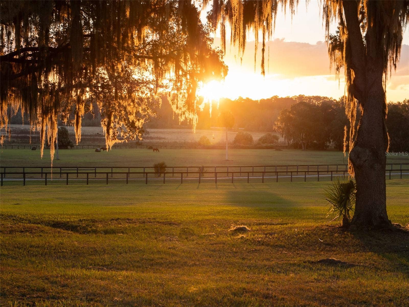 9001 NW 200TH STREET ROAD, Micanopy, FL 32667 9001 NW 200TH STREET ROAD, Micanopy, FL 32667