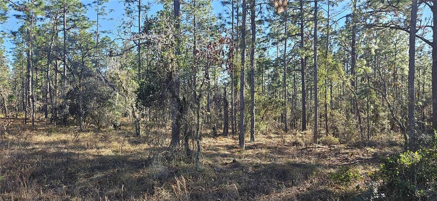 Property photo for Lot 13 NW WATER OAK AVENUE, Dunnellon, FL