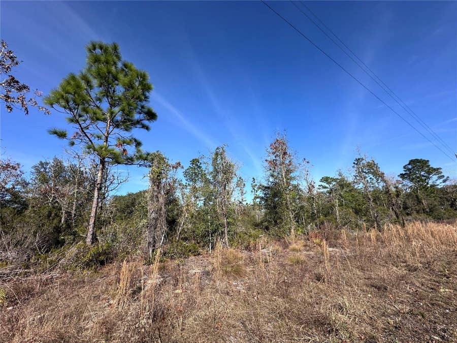 Property photo for tbd NE 117TH TERRACE, Williston, FL