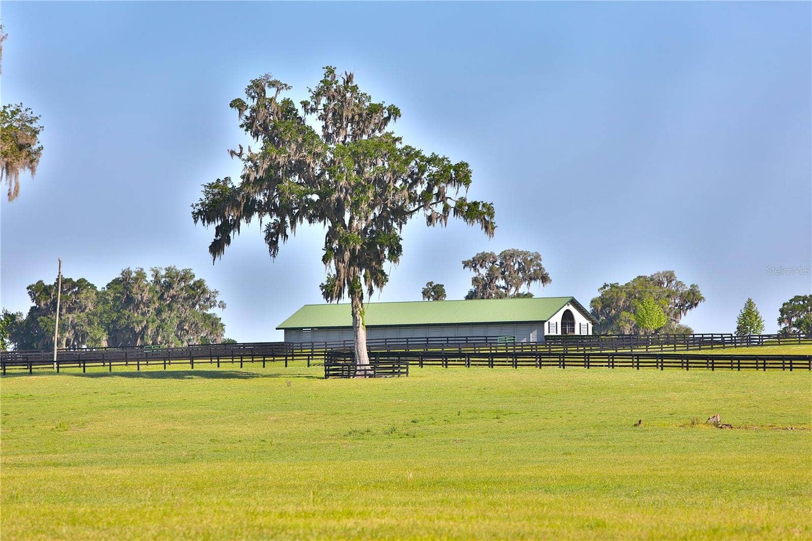 13375 W HIGHWAY 318, Williston, FL 32696 13375 W HIGHWAY 318, Williston, FL 32696