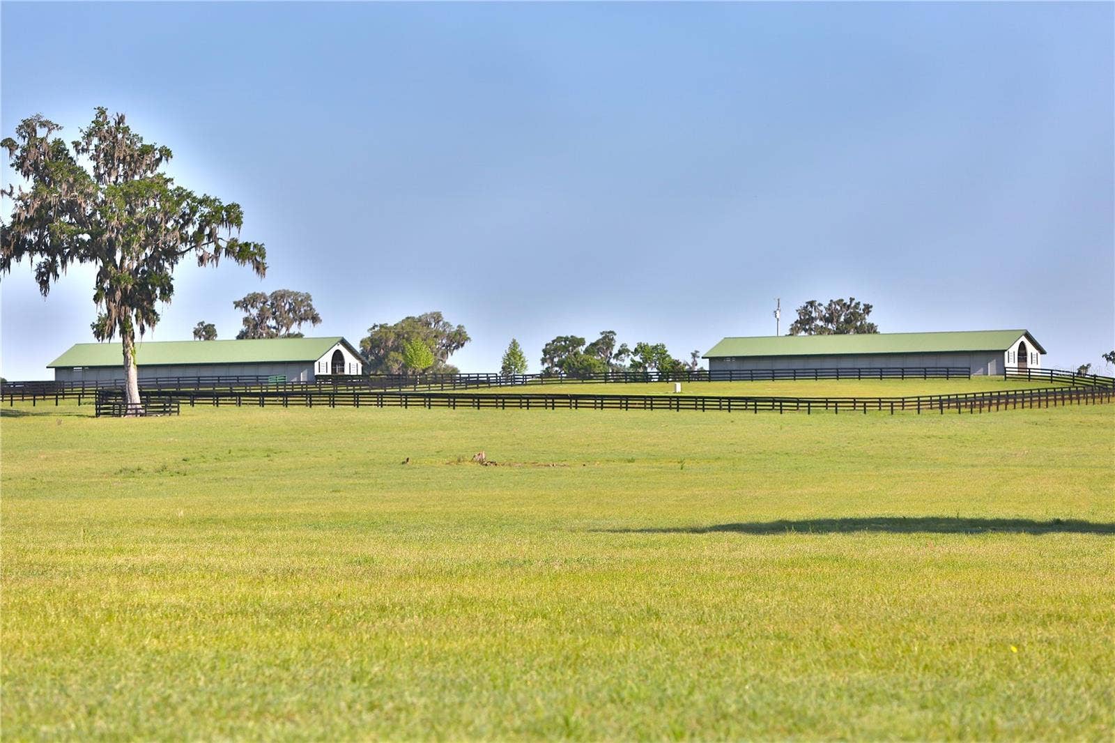 13375 W HIGHWAY 318, Williston, FL 32696 13375 W HIGHWAY 318, Williston, FL 32696