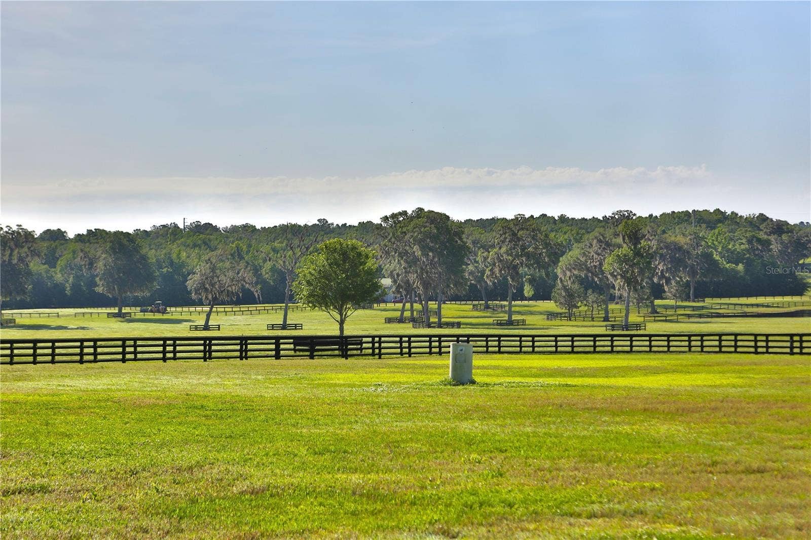 13375 W HIGHWAY 318, Williston, FL 32696 13375 W HIGHWAY 318, Williston, FL 32696
