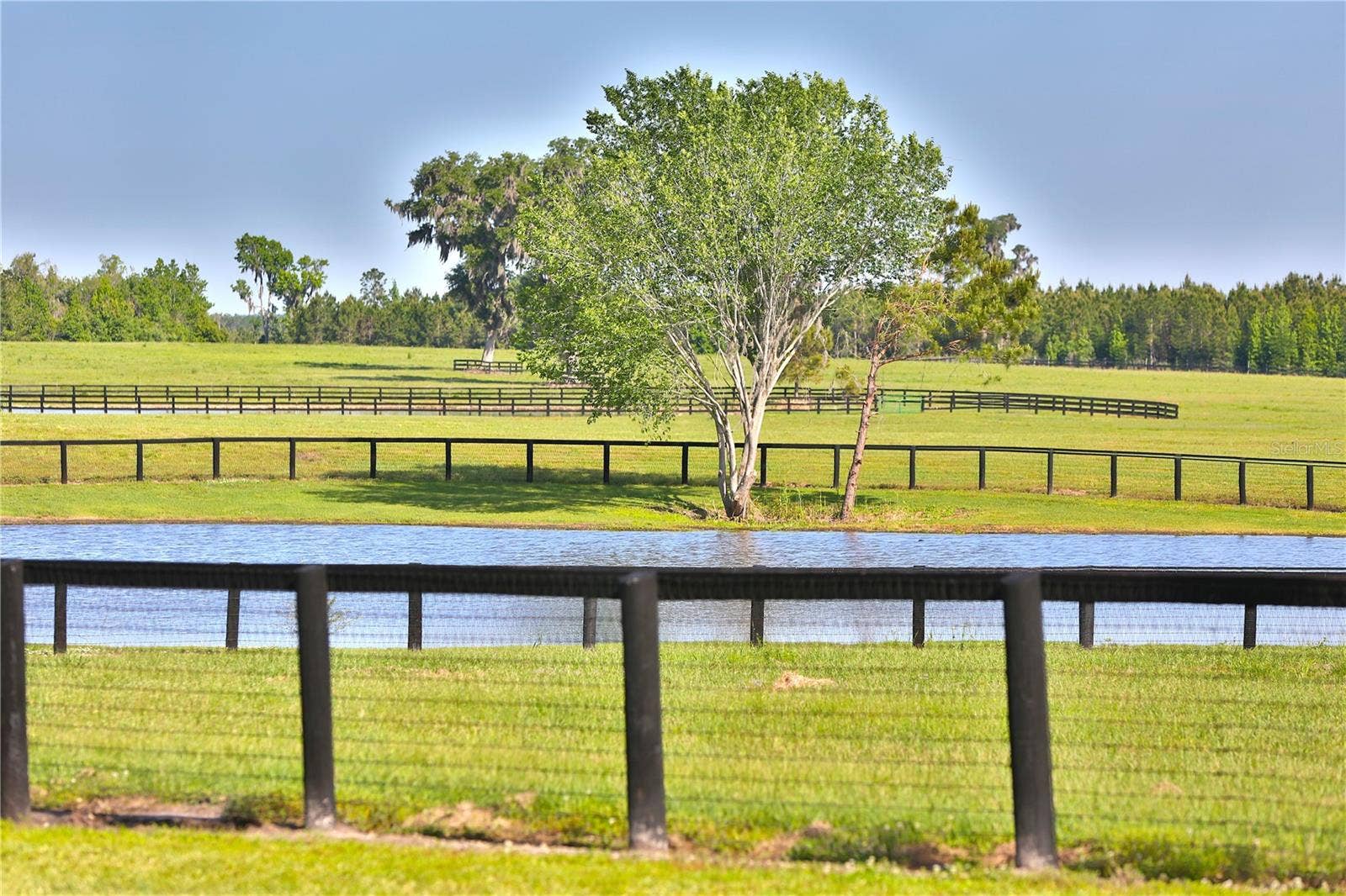13375 W HIGHWAY 318, Williston, FL 32696 13375 W HIGHWAY 318, Williston, FL 32696