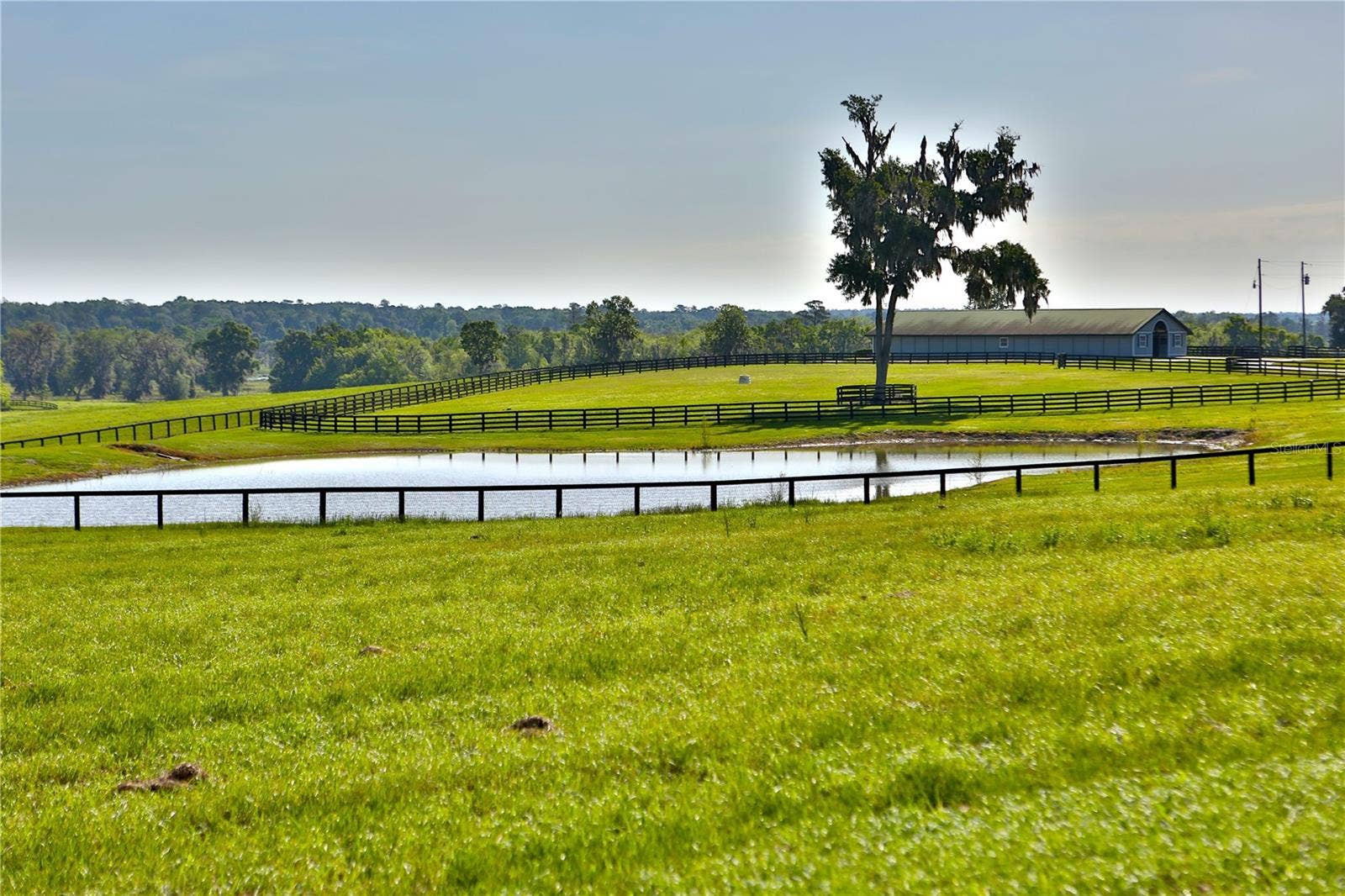 13375 W HIGHWAY 318, Williston, FL 32696 13375 W HIGHWAY 318, Williston, FL 32696