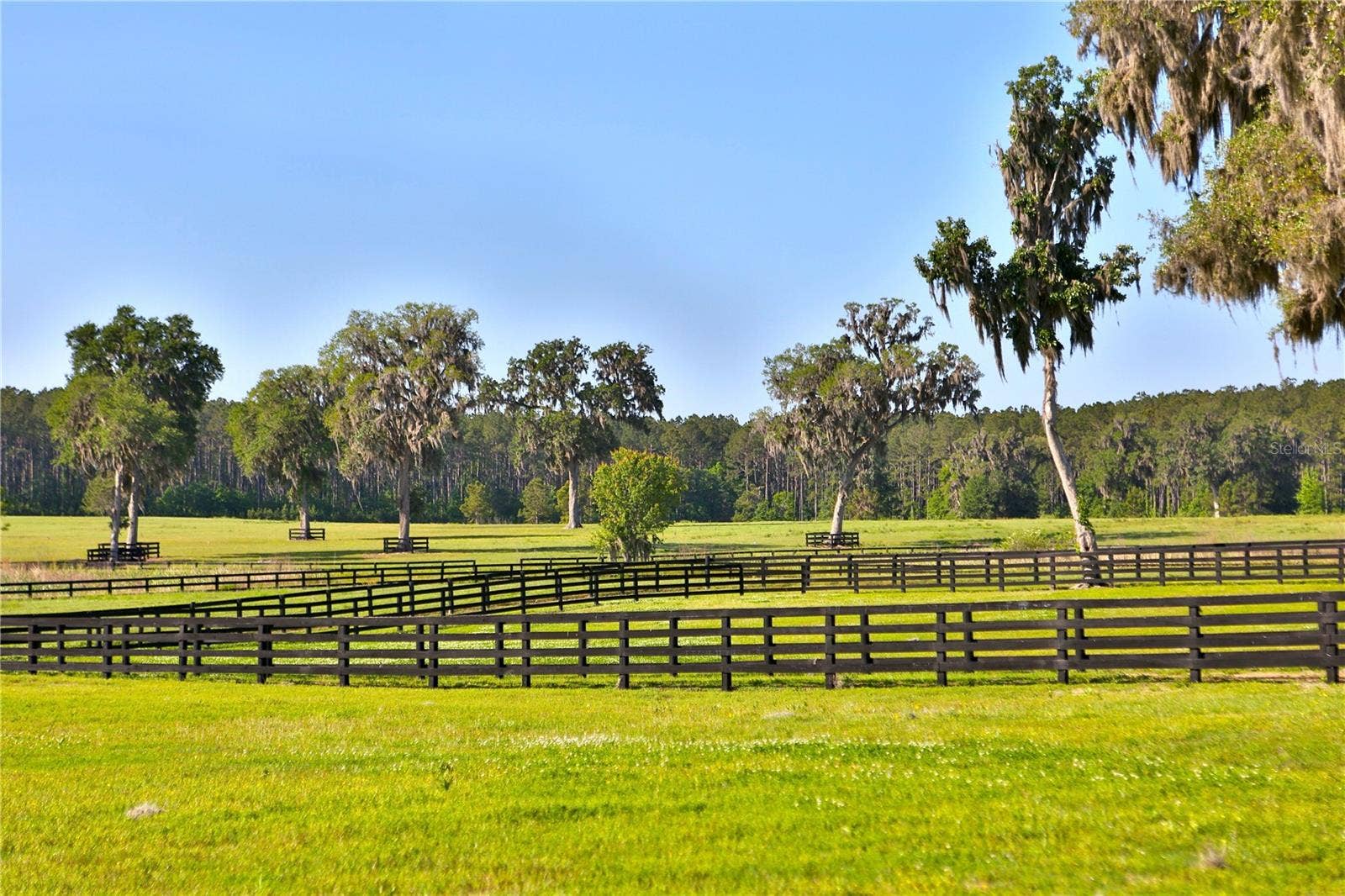 13375 W HIGHWAY 318, Williston, FL 32696 13375 W HIGHWAY 318, Williston, FL 32696