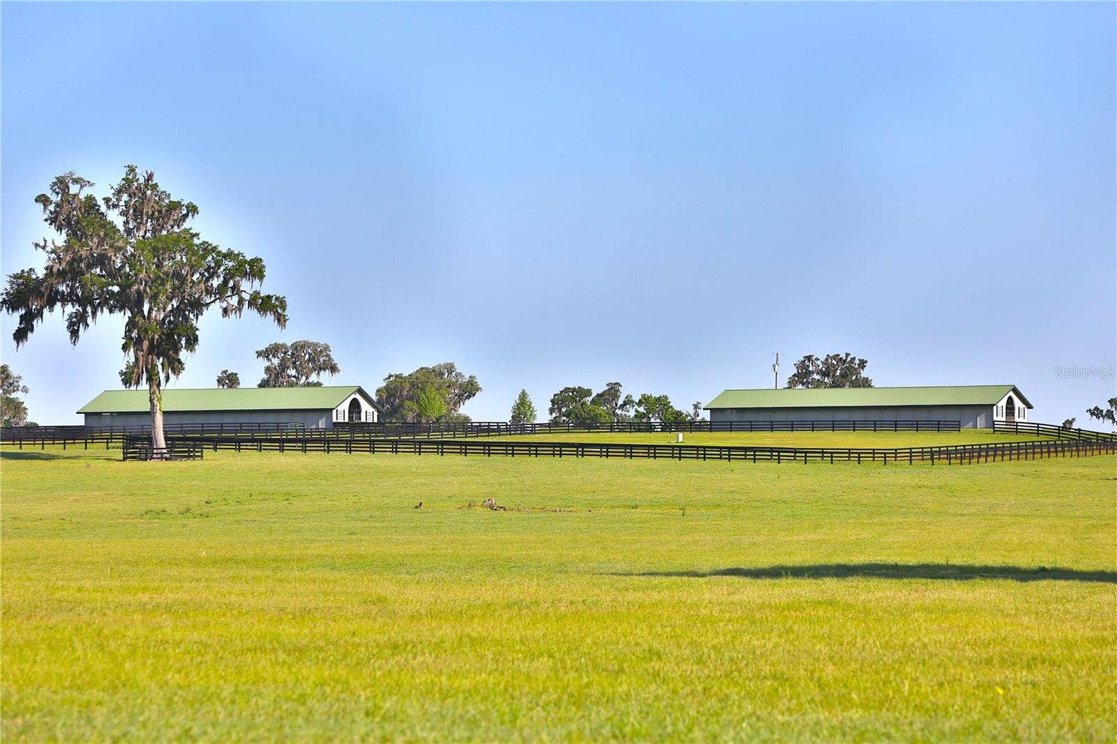 13375 W HIGHWAY 318, Williston, FL 32696 13375 W HIGHWAY 318, Williston, FL 32696