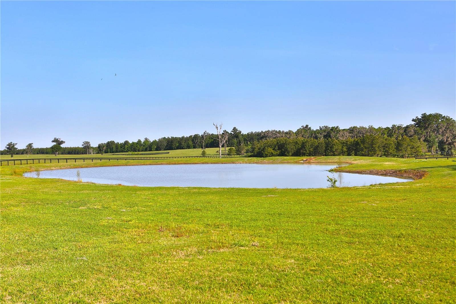 13375 W HIGHWAY 318, Williston, FL 32696 13375 W HIGHWAY 318, Williston, FL 32696