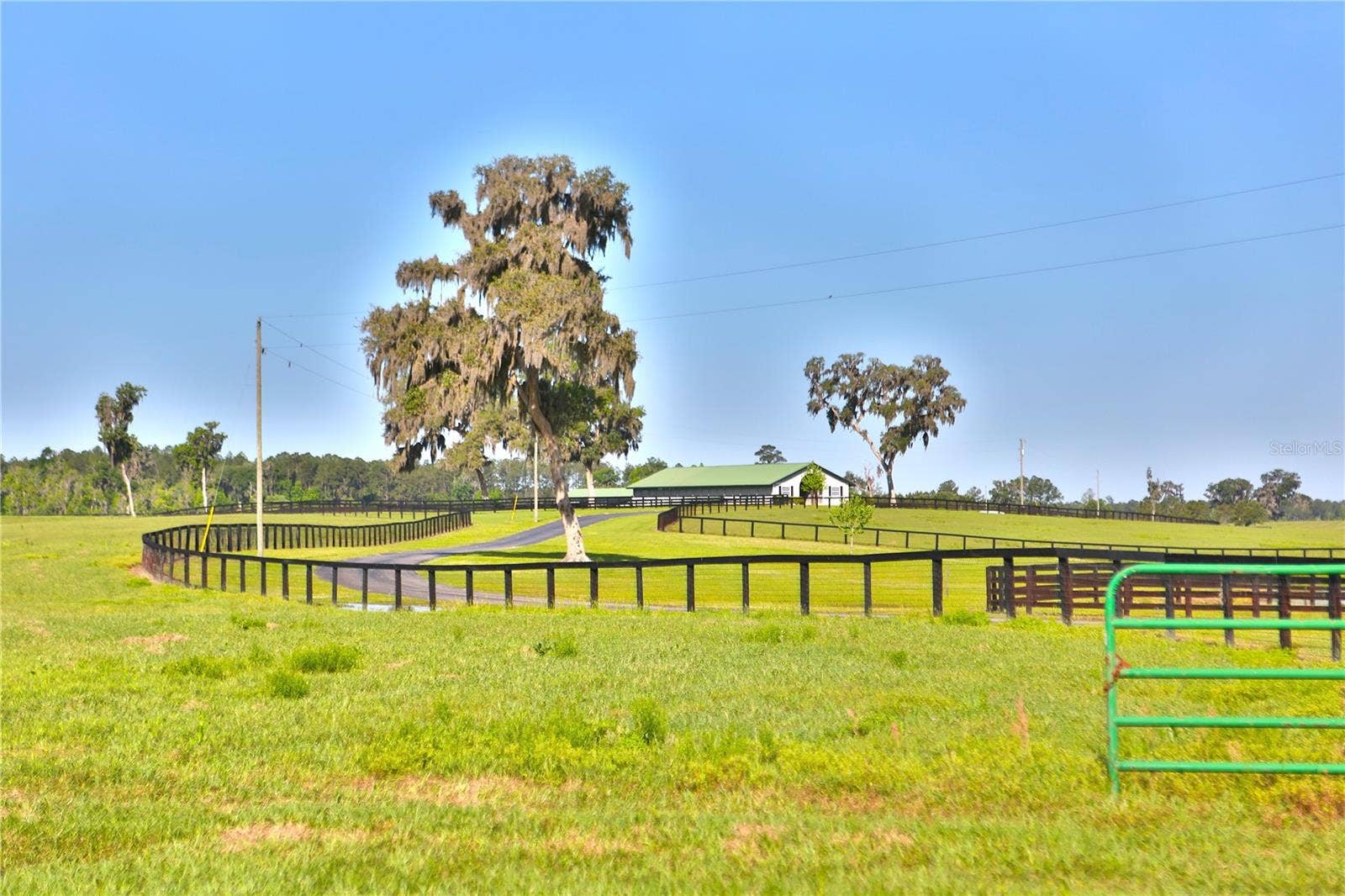 13375 W HIGHWAY 318, Williston, FL 32696 13375 W HIGHWAY 318, Williston, FL 32696