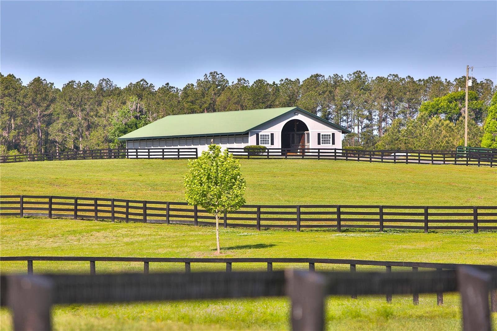 13375 W HIGHWAY 318, Williston, FL 32696 13375 W HIGHWAY 318, Williston, FL 32696