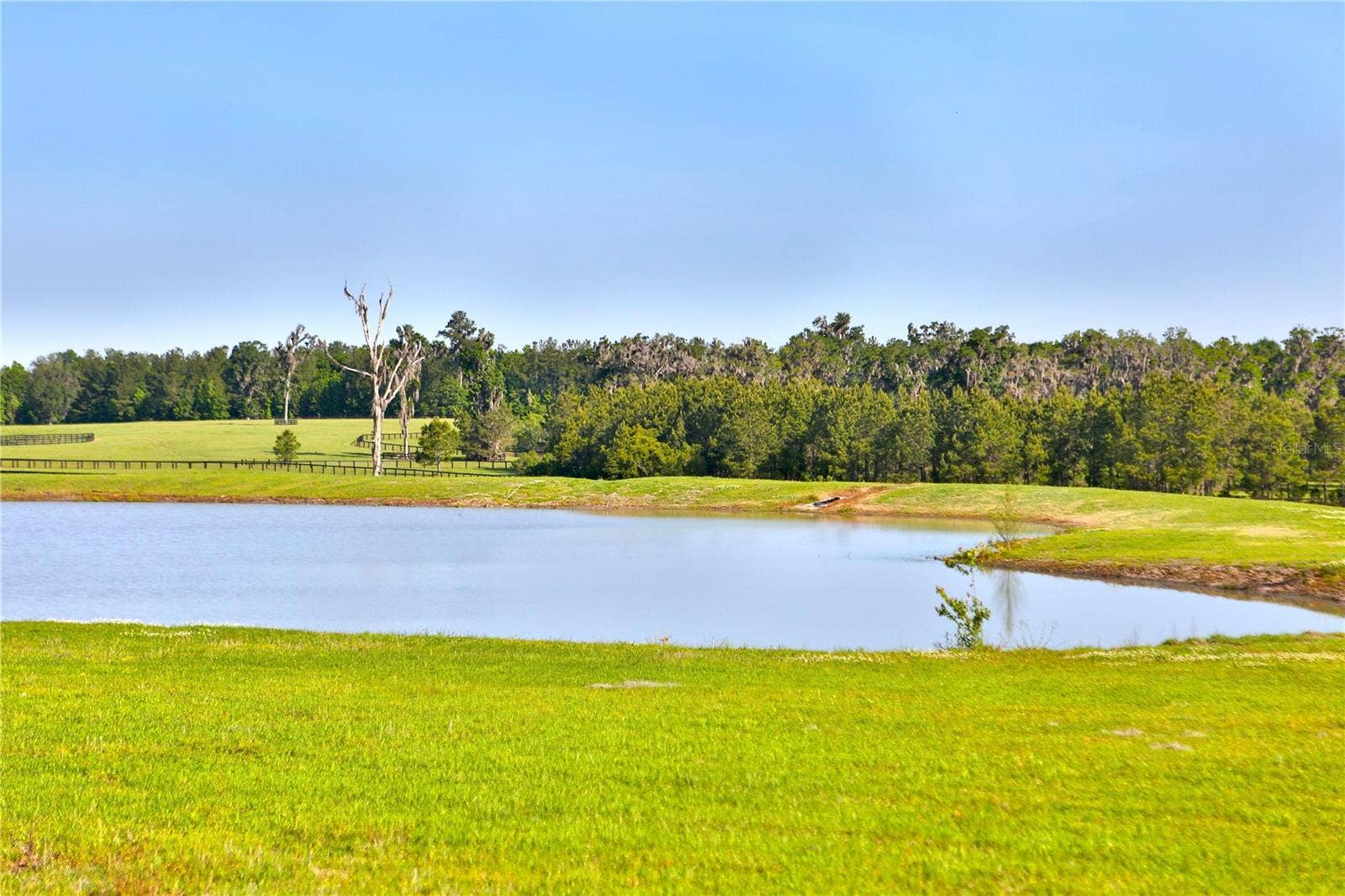 13375 W HIGHWAY 318, Williston, FL 32696 13375 W HIGHWAY 318, Williston, FL 32696