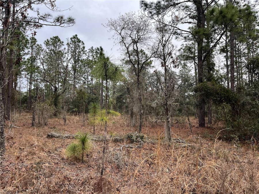 Property photo for Lot 57 NW SKYLARK STREET, Dunnellon, FL