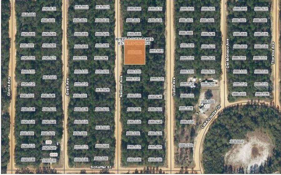 Property photo for TBD NEILSEN AVENUE, Interlachen, FL