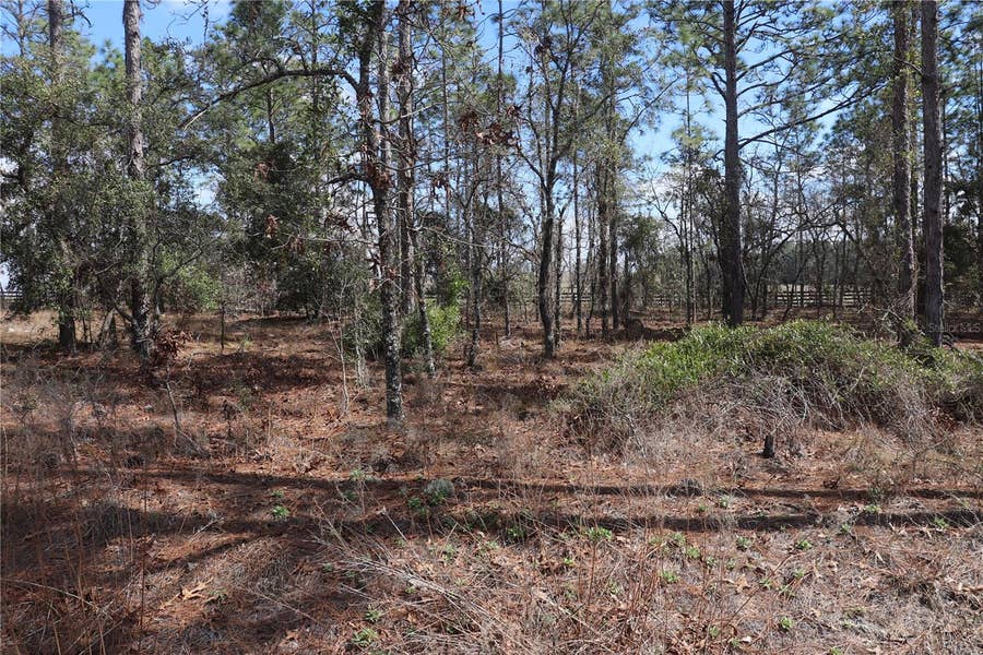 Property photo for 2251 NW BUENA VISTA ROAD, Dunnellon, FL