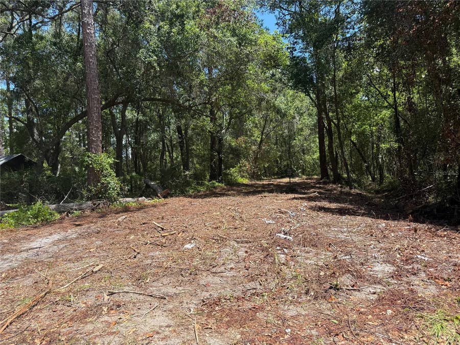 Property photo for TBD NE 115 AVENUE, Fort Mc Coy, FL