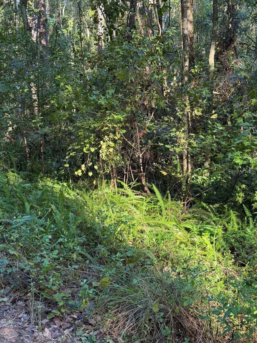 Property photo for TBD SW 18TH PLACE, Ocala, FL