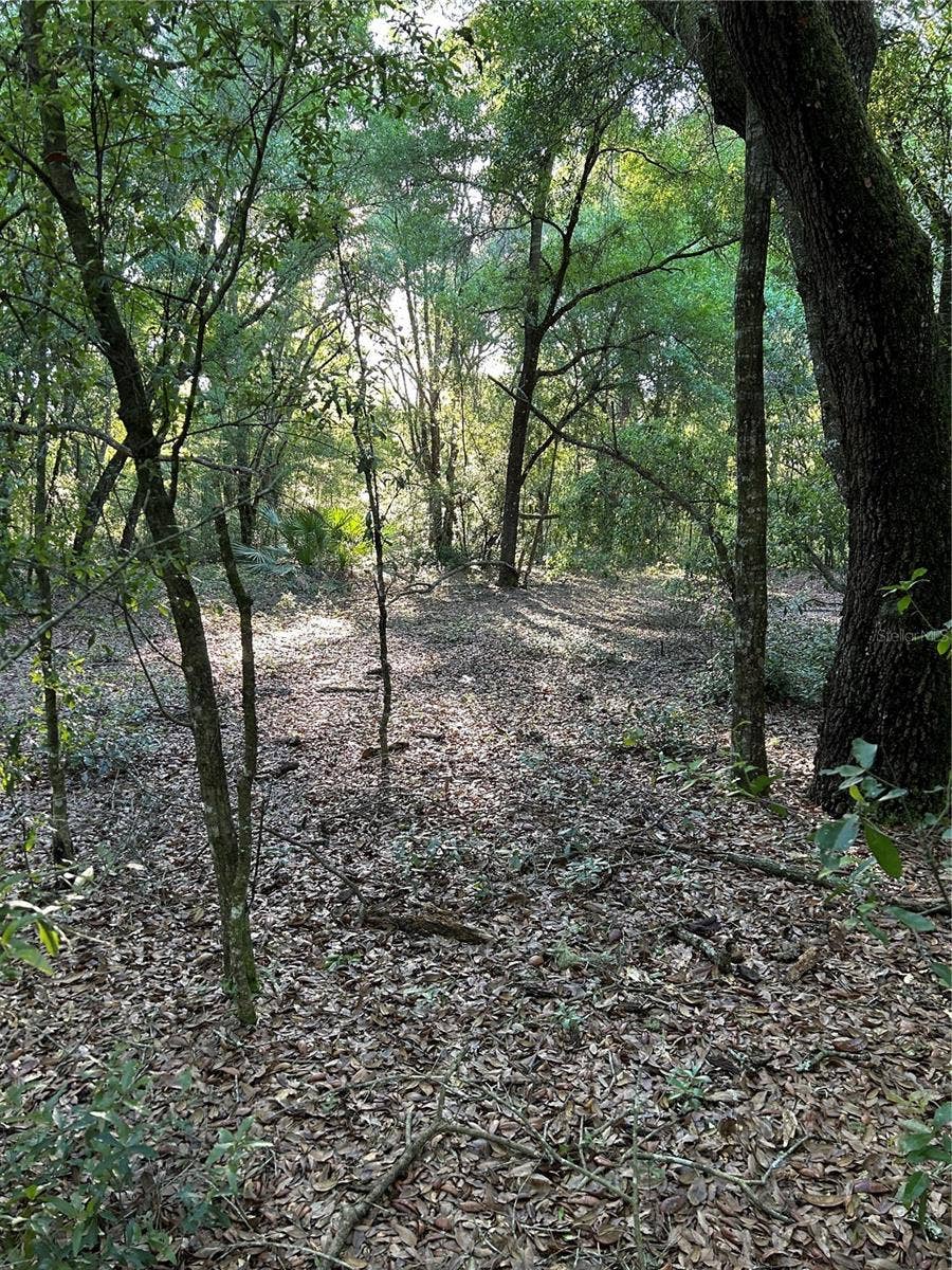 Property photo for SW HWY 484, Dunnellon, FL