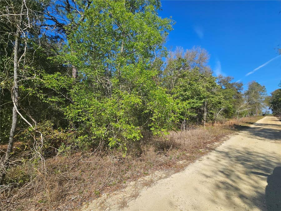 Property photo for 1790 NE 156TH TERRACE, Williston, FL