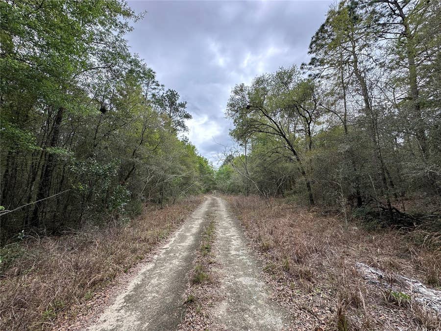 Property photo for tbd NE 154TH AVENUE, Williston, FL