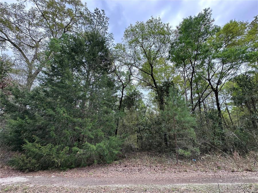 Property photo for tbd NE 154TH AVENUE, Williston, FL