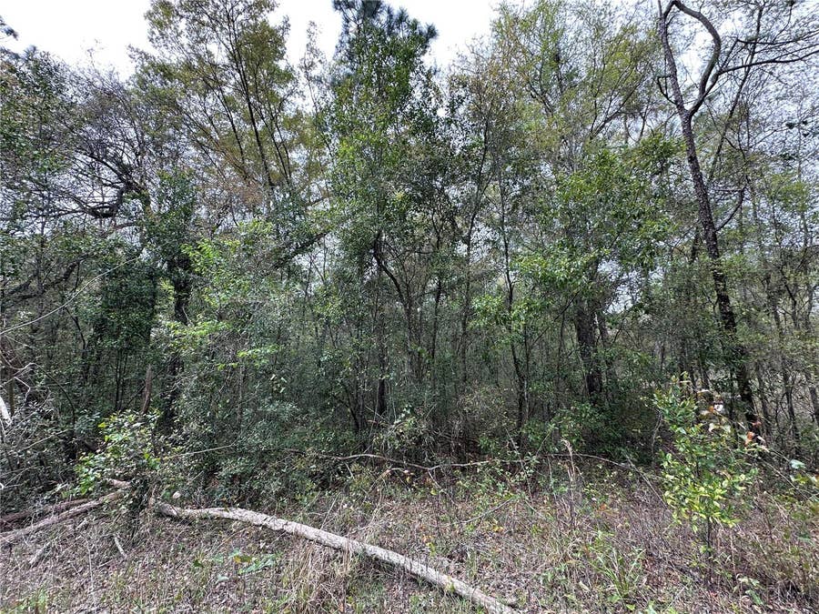 Property photo for tbd NE 154TH TERRACE, Williston, FL